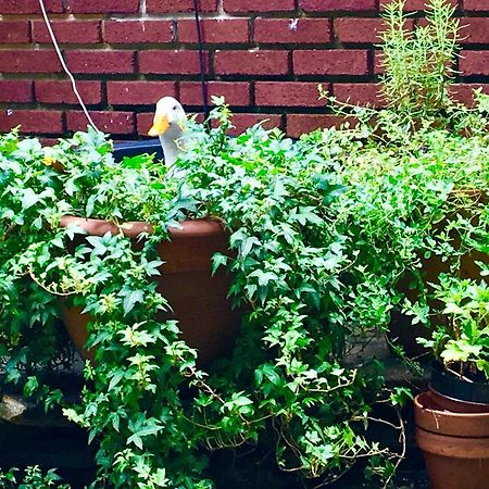 Inman Park Bed And Breakfast 亚特兰大 外观 照片