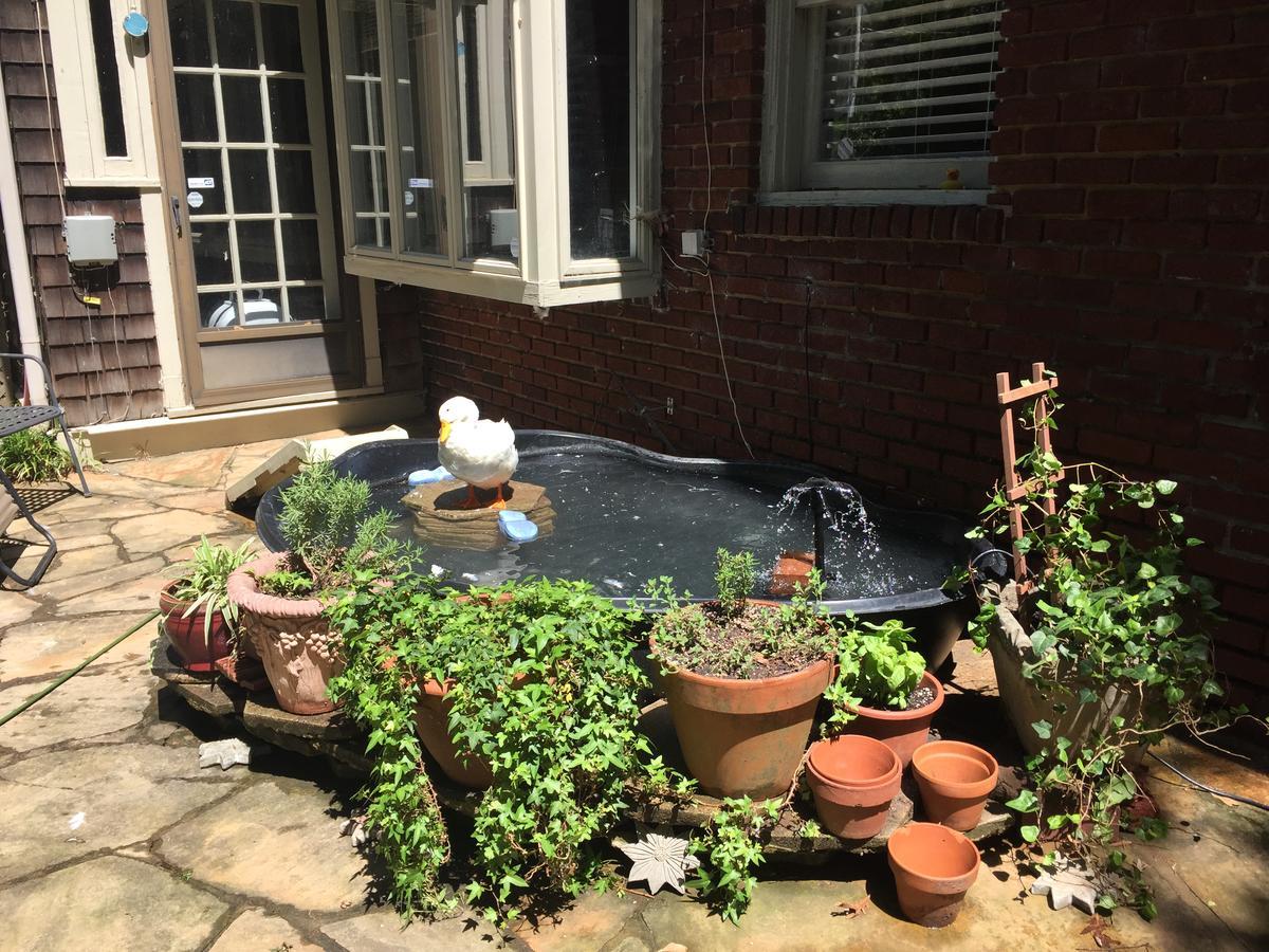 Inman Park Bed And Breakfast 亚特兰大 外观 照片
