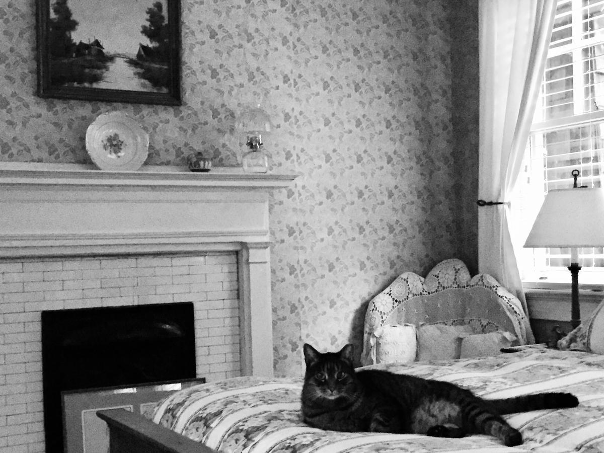 Inman Park Bed And Breakfast 亚特兰大 外观 照片